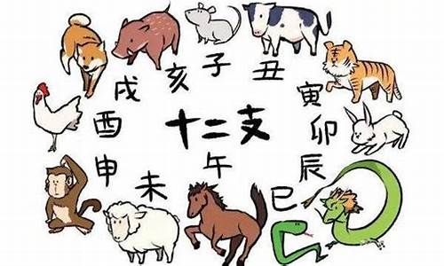 什么生肖为国家做贡献_什么生肖可以为人民做官