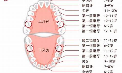 早生牙是什么原因_早生牙是代表什么生肖