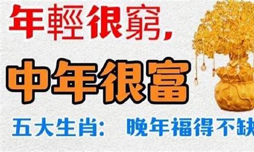 大器晚成解一个生肖_大器晚成老来福生肖