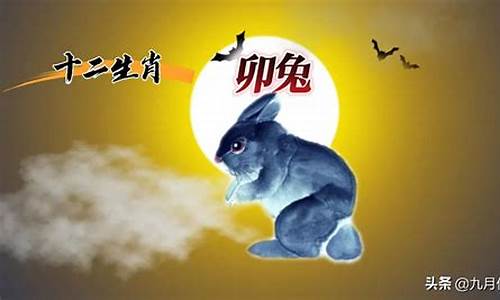 秋夜月华解释什么生肖_秋夜月倍圆解生肖