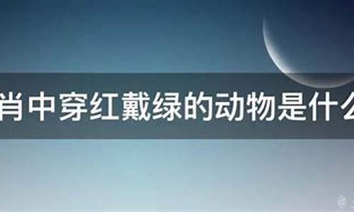 穿红戴绿是什么生肖,谜底是什么_穿红戴绿是什么生肖