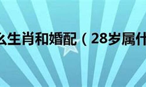 2019年29岁属什么生肖_2019年28岁属什么的生肖