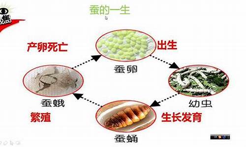 自命不凡的动物打一生肖_自命不凡的动物是什么动物