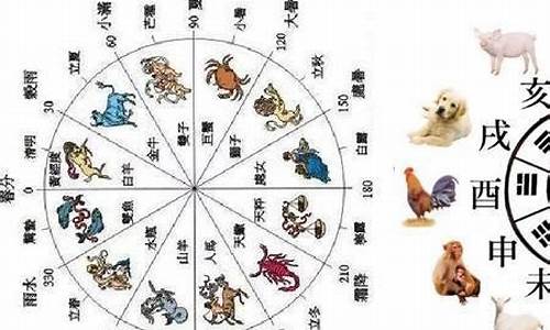 哪个生肖狡猾_什么生肖可以比喻狡黠的人