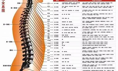 脊椎有问题怎么办_脊椎有问题的生肖是