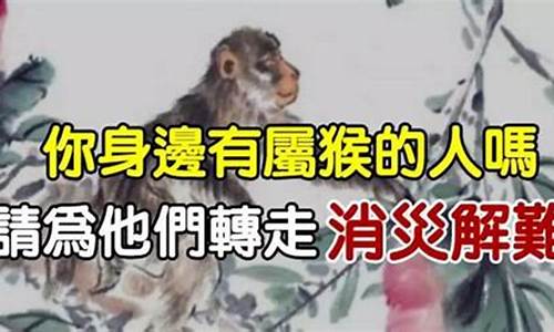 天降什么生肖_生肖猴天降喜讯下句