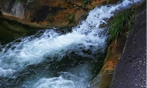 大地雨水哗哗流什么生肖啊_大地雨水哗哗流什么生肖