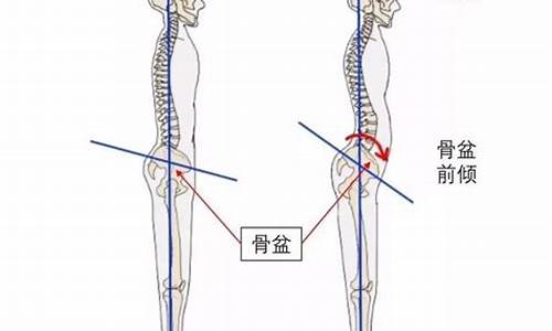 弯腰曲背是成语吗_背曲腰弯是哪个生肖