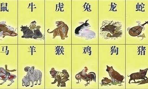 特字解一生肖_特肖来解什么生肖