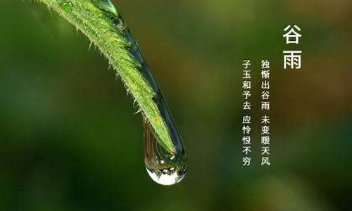 谷雨节气出什么生肖_2022谷雨出什么生肖