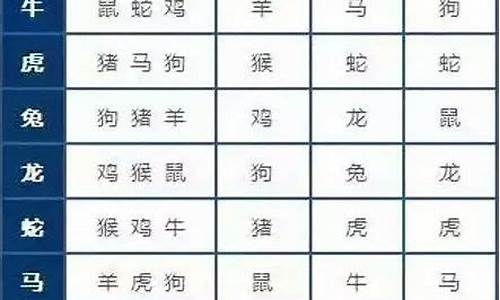 狼是什么生肖正确答案是_狼指哪个生肖