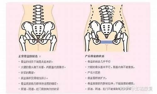 解释前方大底是什么生肖_前方的意思是什么