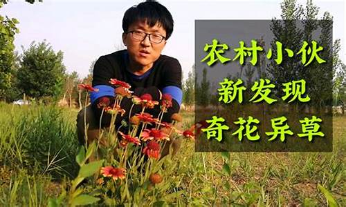 奇花异草的解释是什么意思_奇花异草准确答案生肖