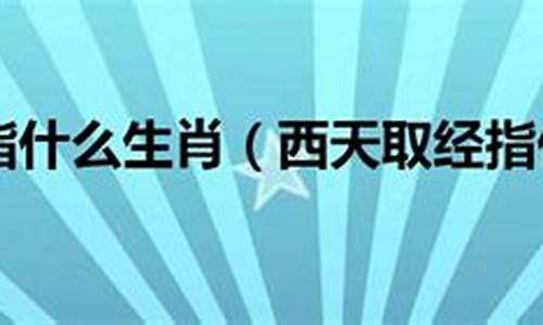 上海敏维软件技术有限公司_西天瑶池指谁生肖