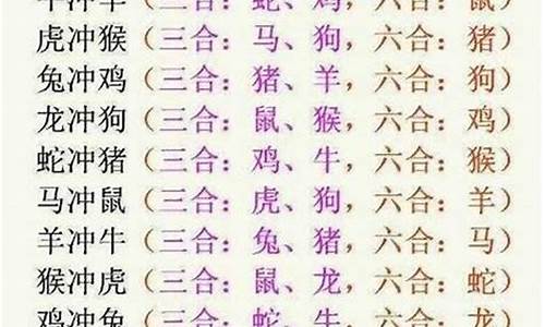 宋江生肖指什么动物_宋江生肖指什么动物呢