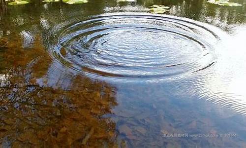 一把石头抛水中打一生肖_一把石头抛水中打一数字