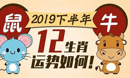 2019生肖鼠运势详解_2019生肖鼠运势详解大全