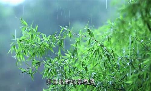 春雨如油打一生肖数字??_春雨如油打一生肖