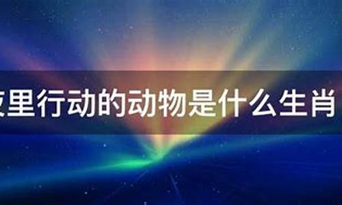 什么是夜里行动的生肖_夜晚行动猜生肖