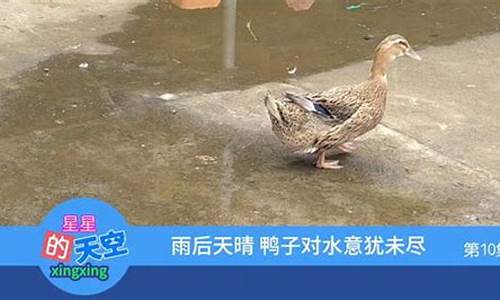 雨后天晴什么生肖2022_雨后天晴比喻什么生肖