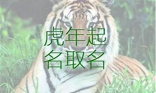 生肖虎取名用哪些部首组成_生肖虎取名用哪些部首组成好