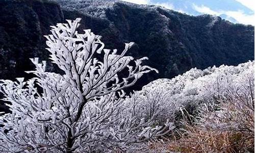 大明山现在结冰了吗_大明山雾凇来啦猜生肖