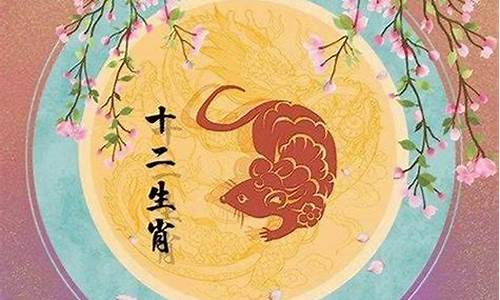 生肖鼠今年适合投资吗_属鼠今年适不适合投资