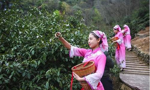 鸠槃茶是代表什么生肖_鸠盘荼是什么意思