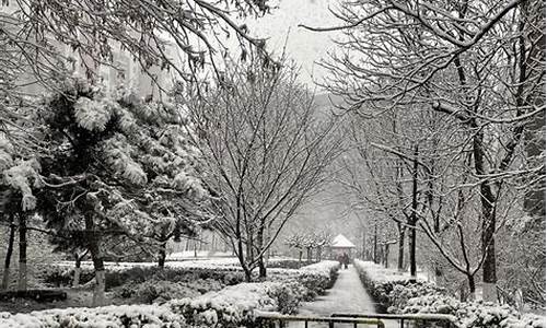 瑞雪纷飞打个生肖_瑞雪纷飞的下一句