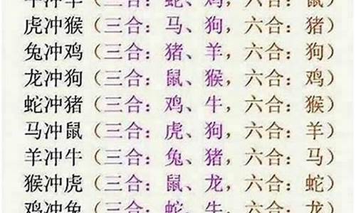 属马和什么生肖合_属马和什么生肖合作最好