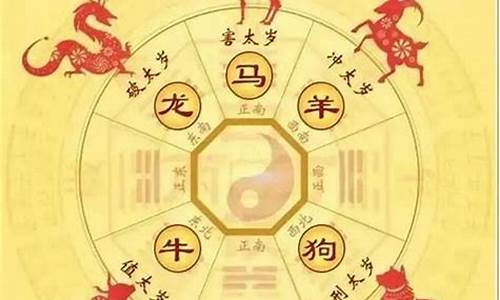 属什么的犯扫帚星_生肖虎犯扫把星月份