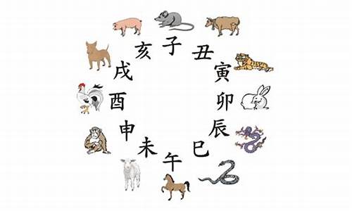 冷面是什么字_冷面指的那个生肖