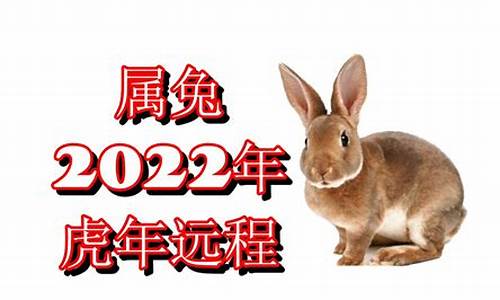 虎年属兔运势2021年运势_虎年属兔生肖的运势