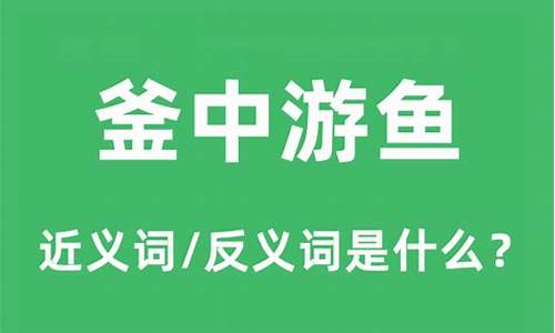 釜中游鱼比喻什么生肖动物_釜中游鱼比喻什么生肖