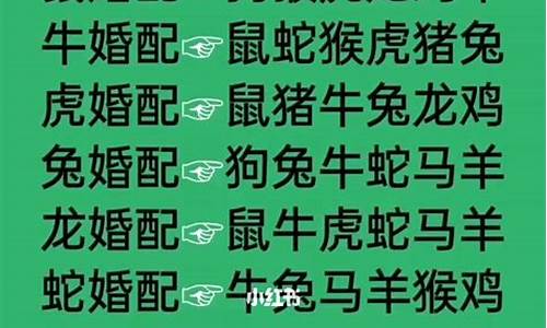 单文孤证拆最佳生肖_单文是什么