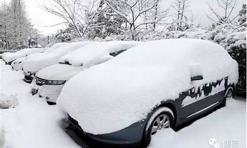 车里面都是雪是什么生肖_车上都是雪