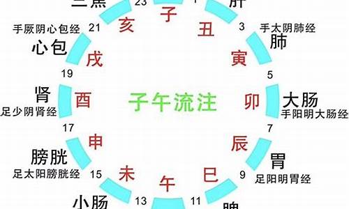 子午肖是什么生肖_生肖子午相冲怎么化解