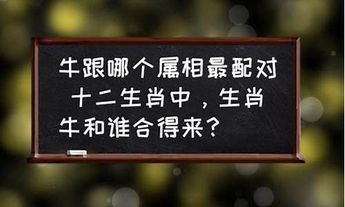 牛和哪个属相最合财_牛跟哪个生肖比较合财