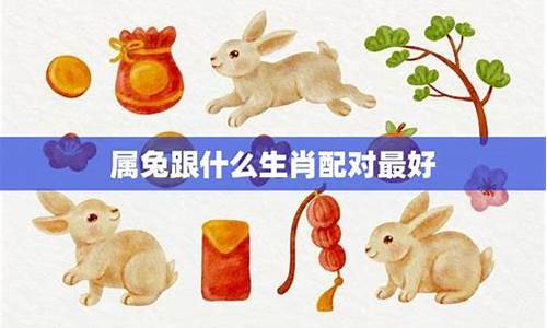 属猪属兔今年属什么生肖-属兔人的最佳婚配属相属猪的人今年多大