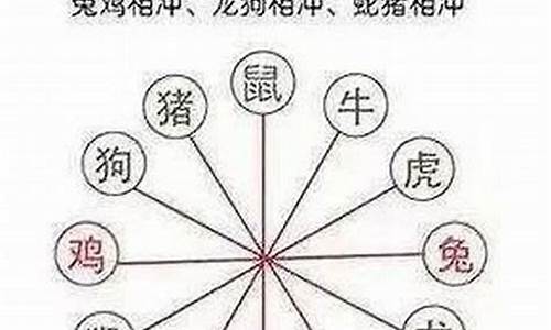 12生肖属马的和什么相冲-生肖属马和什么相冲吗