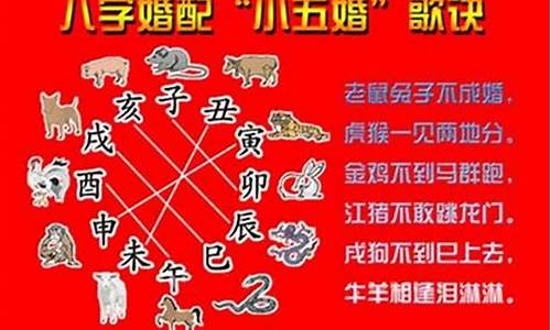 属虎木虎是什么意思-虎属木其它生肖属什么