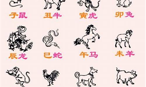 12生肖排序属猪多大-猪生肖分别多少岁