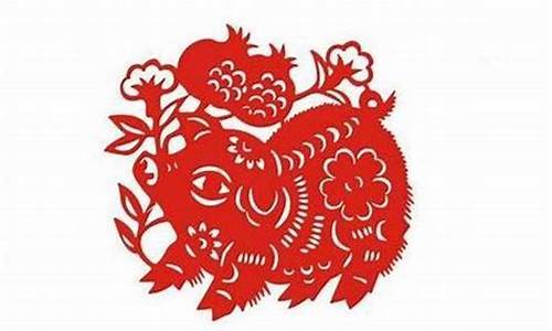 属猪明年带什么生肖饰品-属猪的今年带什么能增加财运走向