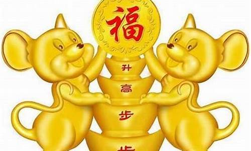 属金鼠的哪个生肖最好-金鼠是什么金