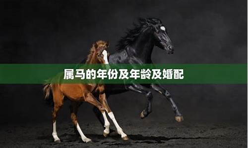 属马人如何选择对象生肖-属马的应该找属什么的对象