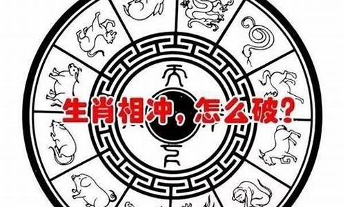 十二生肖属猪命理分析-十二生肖属猪的命运