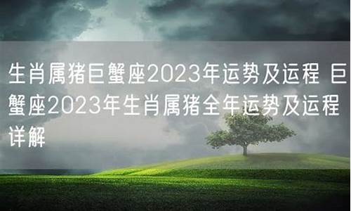 生肖属猪的巨蟹座-生肖属猪的巨蟹座男生性格