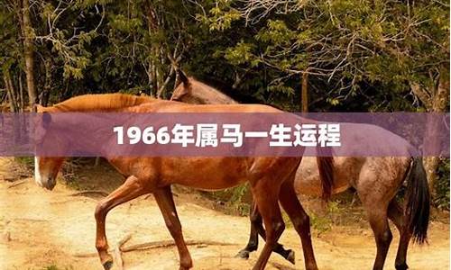 2021年生肖马1966年运势运程-生肖属马1966运程